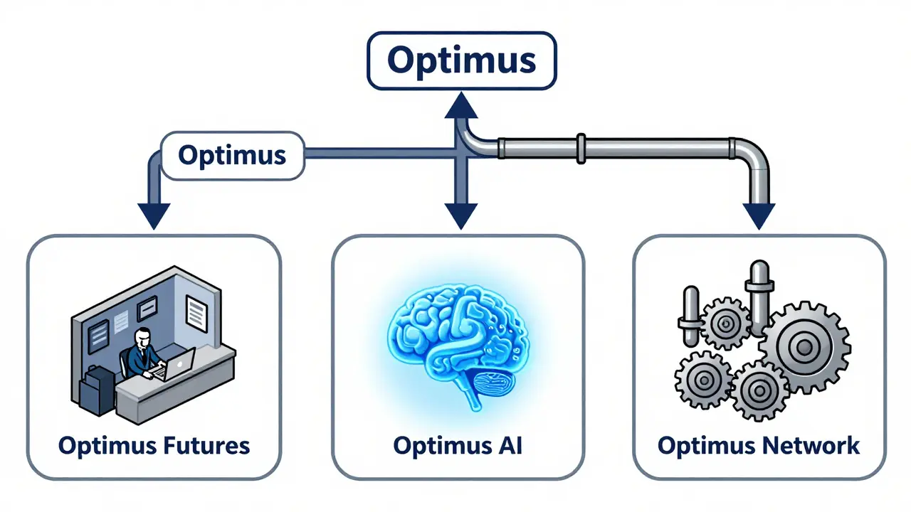 A technical flowchart showing the different legitimate Optimus entities: Futures, AI, and Network.